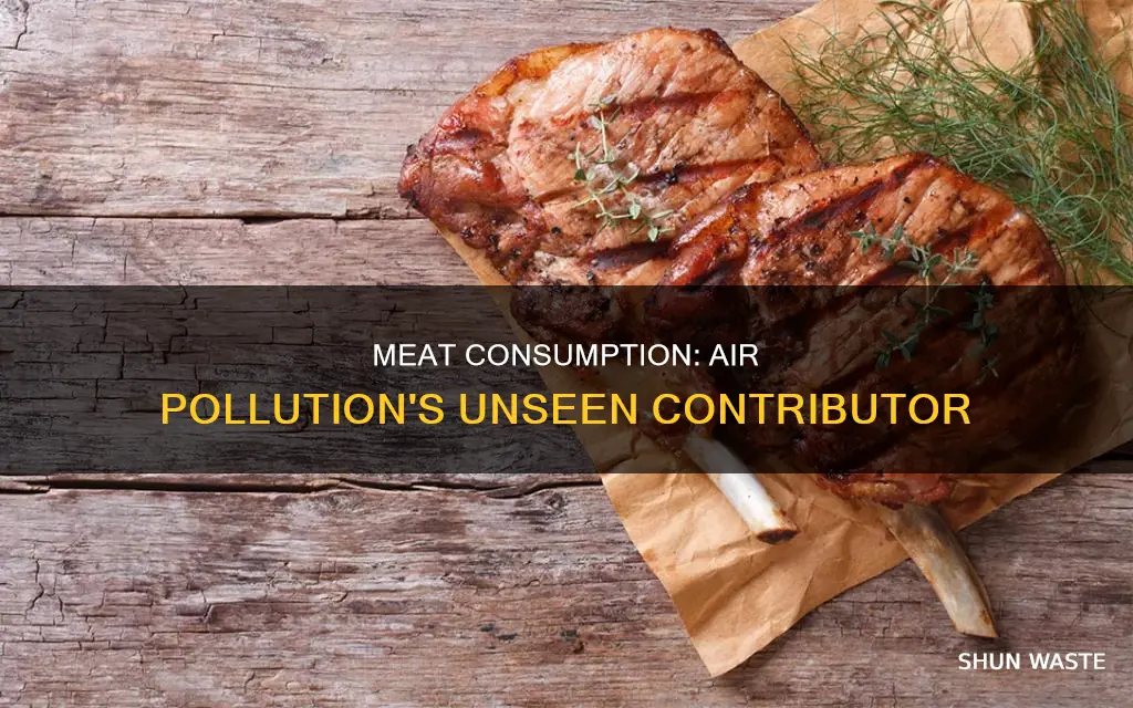 how can cutting back on meat help air pollution