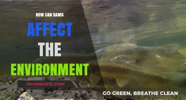 Dams' Environmental Impact: Ecosystem Disruption, Biodiversity Loss, and Climate Effects