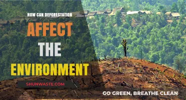 Devastating Impacts: How Deforestation Destroys Ecosystems and Climate Balance