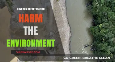 Deforestation's Devastating Impact: How Tree Loss Destroys Our Environment