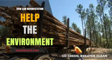 Sustainable Logging: How Strategic Deforestation Can Benefit Ecosystems and Climate
