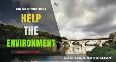 Green Inbox: How Deleting Emails Reduces Carbon Footprint