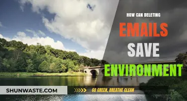 Deleting Emails: A Simple Eco-Friendly Habit to Save the Environment