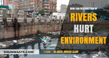 River Destruction's Devastating Impact: Harming Ecosystems and Our Environment