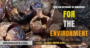 Detergent's Dark Side: Environmental Hazards and Sustainable Alternatives