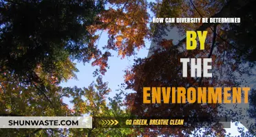 Environmental Influences on Diversity: Uncovering Nature's Role in Shaping Ecosystems
