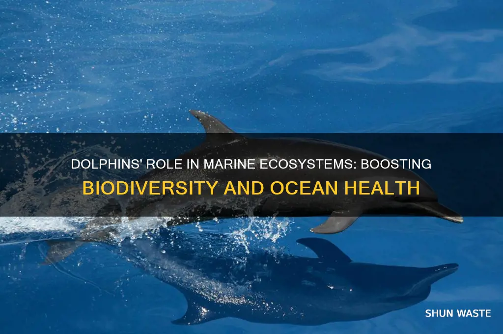 how can dolphins help the environment
