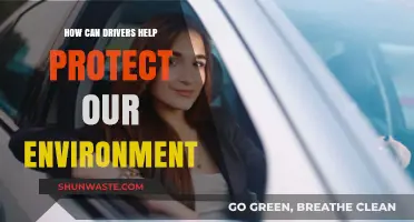 Eco-Friendly Driving: Simple Ways Drivers Can Protect Our Environment