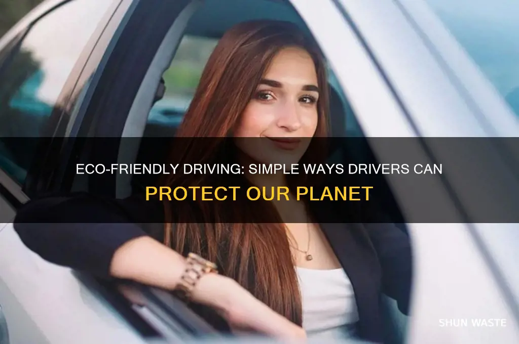 how can drivers help the environment