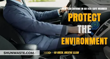 Eco-Safe Driving: Simple Steps to Protect Our Environment