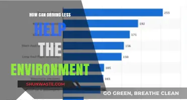 Driving Less: Simple Steps to Reduce Emissions and Protect Our Planet