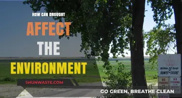 Drought's Devastating Impact: How Water Scarcity Alters Ecosystems and Life