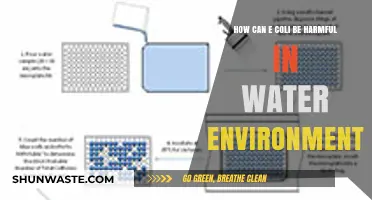 E. Coli in Water: Risks, Health Impacts, and Prevention Strategies