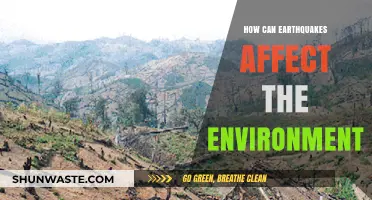 Earthquakes' Environmental Impact: Shaking Ecosystems, Landscapes, and Habitats