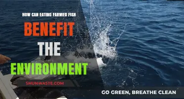 Sustainable Seafood: Farmed Fish's Positive Environmental Impact Explained