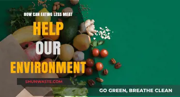 Reducing Meat Consumption: A Sustainable Path to Environmental Preservation