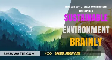 Eco-Literacy: Empowering Minds for a Sustainable Future