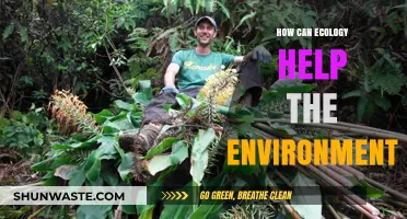 Ecology's Role in Protecting and Restoring Our Fragile Environment