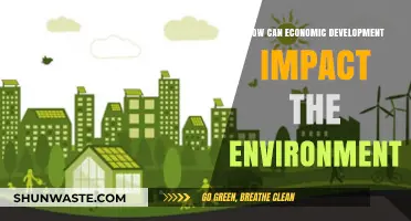Economic Growth vs. Environmental Sustainability: Balancing Progress and Preservation