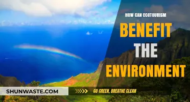 Ecotourism's Environmental Impact: Sustainable Travel for a Greener Future