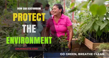 Ecotourism's Role in Safeguarding Nature and Preserving Ecosystems