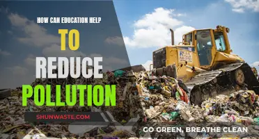 Education's Role in Pollution Reduction: A Sustainable Future