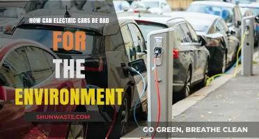 Electric Cars' Environmental Impact: Uncovering Hidden Ecological Concerns