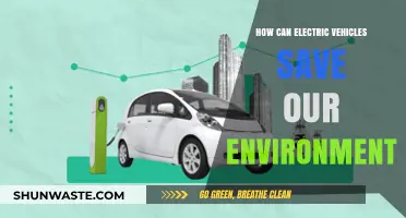Electric Vehicles: A Sustainable Solution to Protect Our Environment