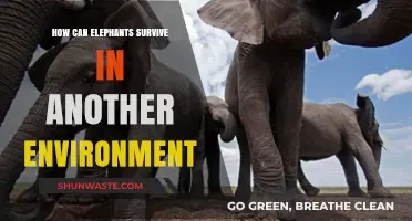 Elephants' Adaptability: Thriving in New Habitats and Ecosystems