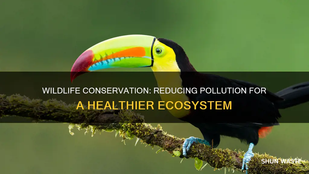 how can eliminating pollution benefit wildlife