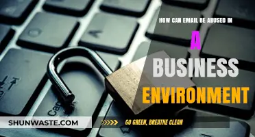 Email Abuse in Business: Risks, Tactics, and Prevention Strategies