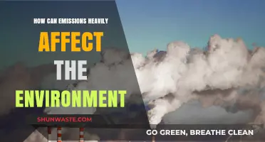 Environmental Impact: How Emissions Severely Harm Our Planet's Health