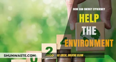 Energy Efficiency: A Powerful Tool to Protect Our Environment