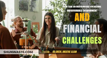 Navigating Adversity: Strategies for Entrepreneurs to Thrive Despite Financial Challenges