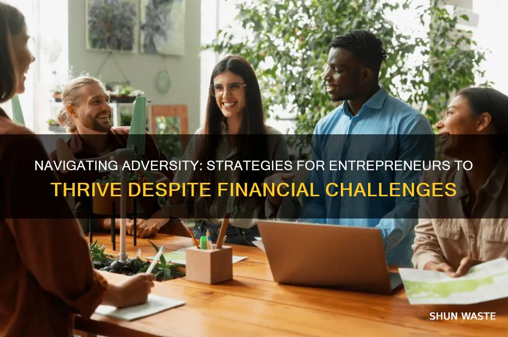 how can entrepreneurs overcome unfavourable environment and financial challenges