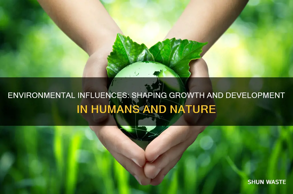 how can environment affect growth and development