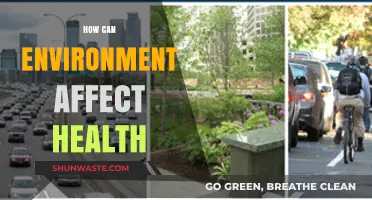 Environmental Factors and Their Impact on Human Health Explained
