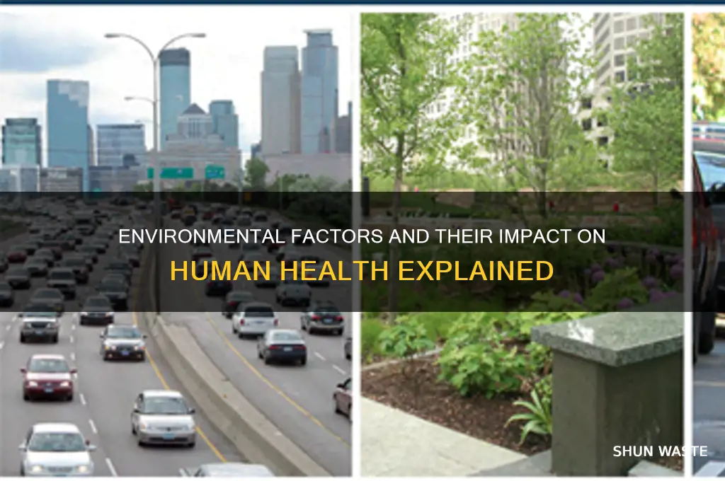 how can environment affect health