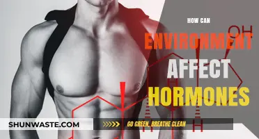 Environmental Factors and Hormonal Health: Uncovering the Hidden Connections
