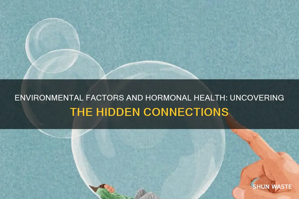 how can environment affect hormones
