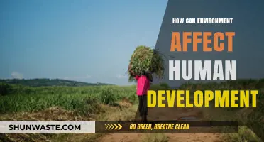 Environmental Influences: Shaping Human Growth, Behavior, and Cognitive Development