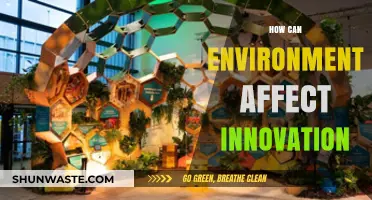 How Environmental Factors Shape Innovation and Creative Breakthroughs