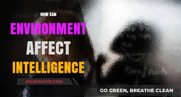 Environmental Factors Shaping Intelligence: Unraveling Nature's Impact on Cognitive Abilities