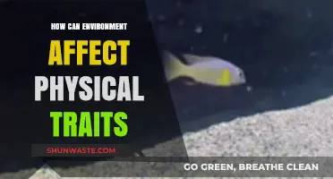 Environmental Influences: Shaping Physical Traits Through Nature's Powerful Impact