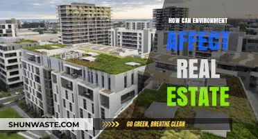 Environmental Factors Shaping Real Estate Values and Market Trends