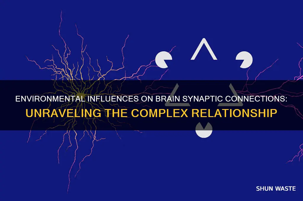 how can environment affect synaptic connections in the brain