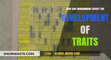 Environmental Influences: Shaping Traits and Unlocking Developmental Potential