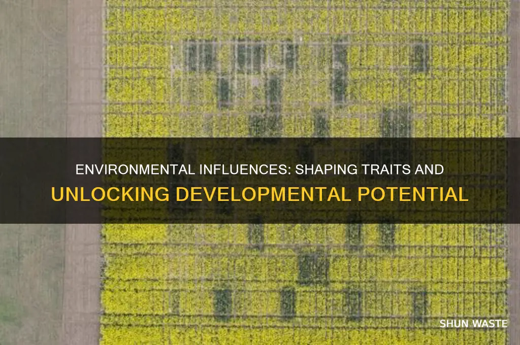 how can environment affect the development of traits