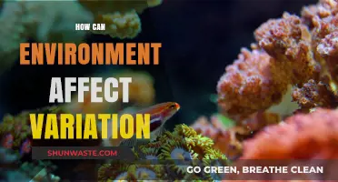 Environmental Influences: Unraveling the Impact on Genetic and Phenotypic Variation
