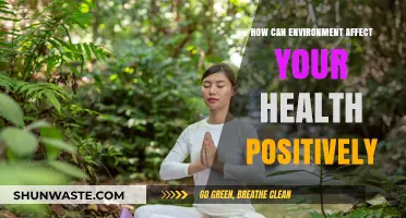 Nature's Healing Power: How Environments Boost Health and Well-being